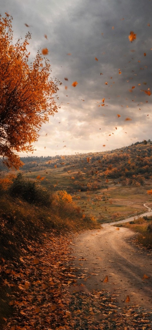 طريق الخريف الذهبي